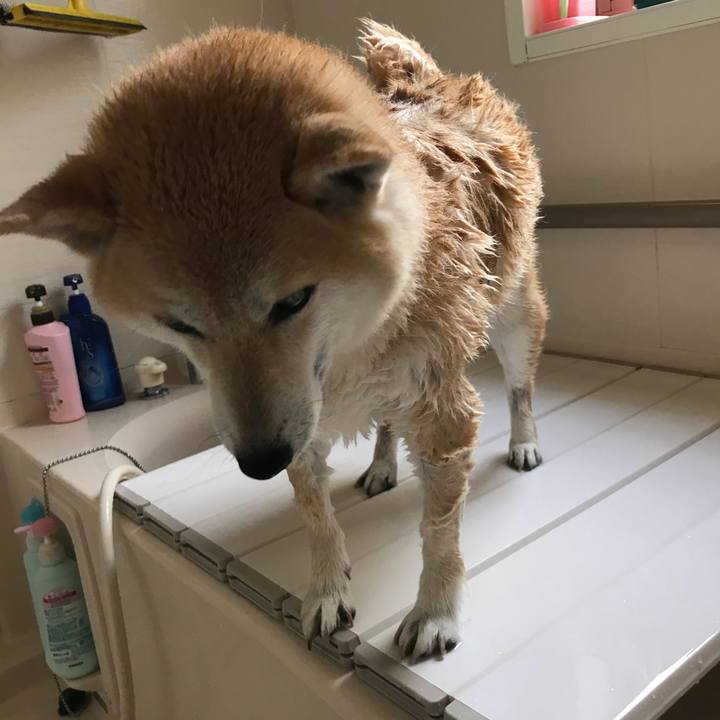 60394779 5ce2 42ce a2b0 ba5ce01228c8 1528195479958