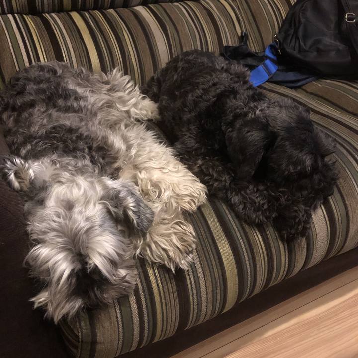 60394aca 064f 4f45 8e91 1ff070a8198c 1557150067394