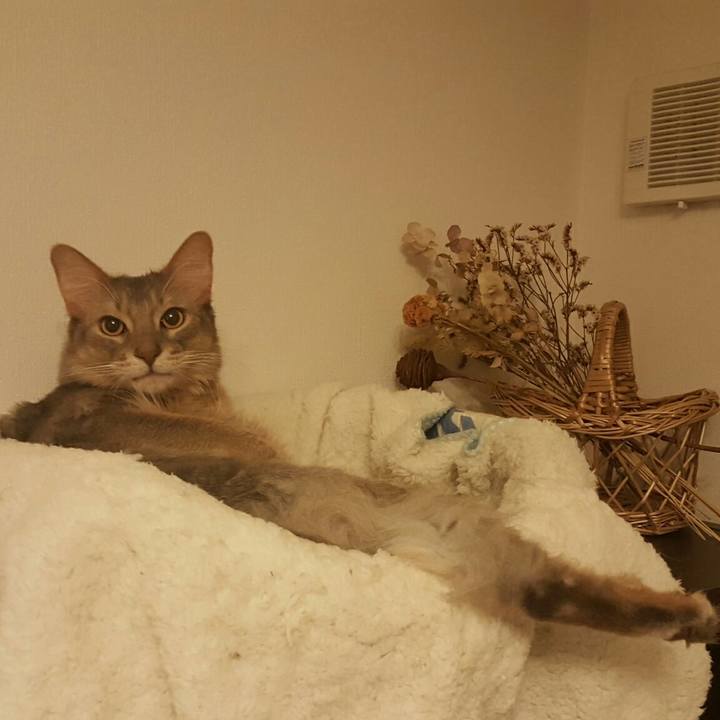 603968db 5adb 4f41 b83d 457e5534a251 1544535152803