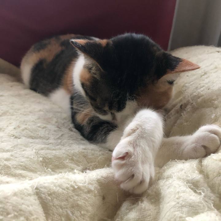 6039f2b1 31e6 4b90 a7a9 431cd27bb9b4 1613288107313