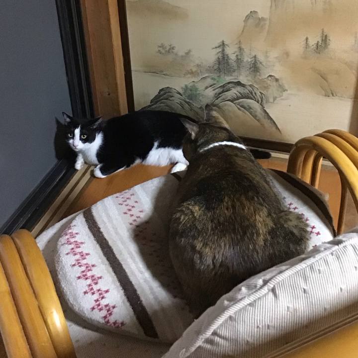 603a2b98 80a0 4422 b6d0 c00df8d8d9e4 1726652834635