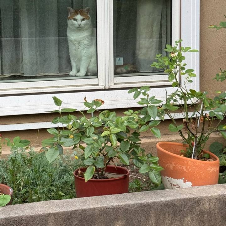 603a35fd 3753 4d59 99c2 600eb6408c93 1752114100845