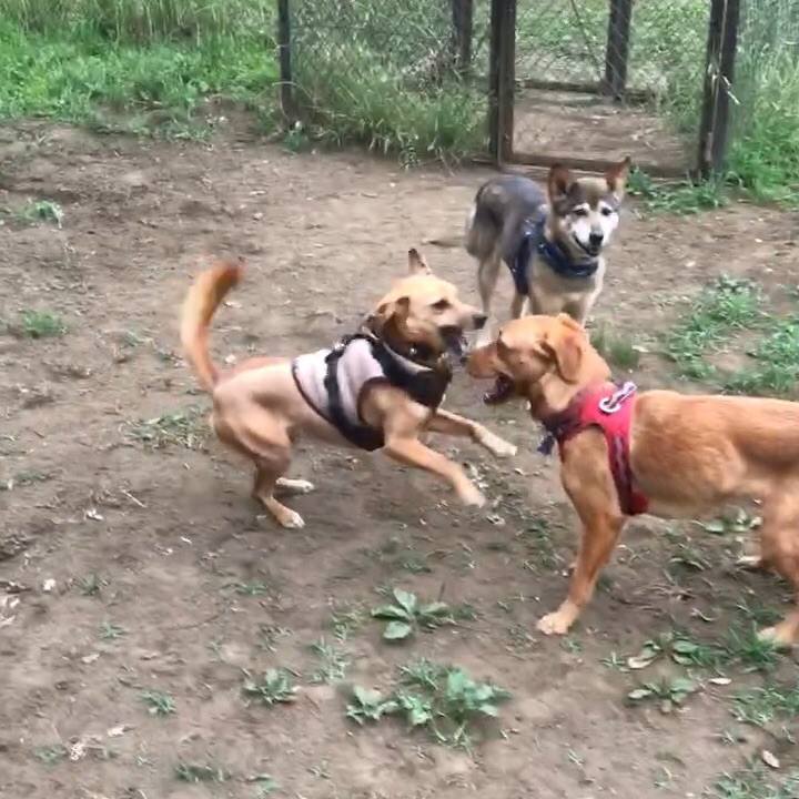 603a38a8 ff2d 4568 b9c2 2d1fcaca9f0d 1528611146488