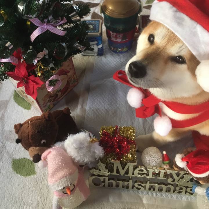 603a6e6a 07e1 4242 96aa 66c1e869f3f0 1545720672033