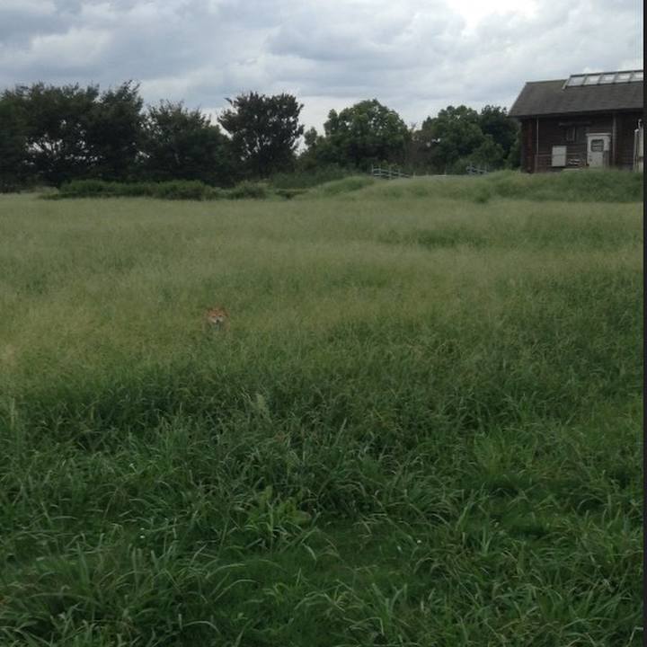 603a9294 b0f7 4f2a adc7 a620adb1706b 1536755315659