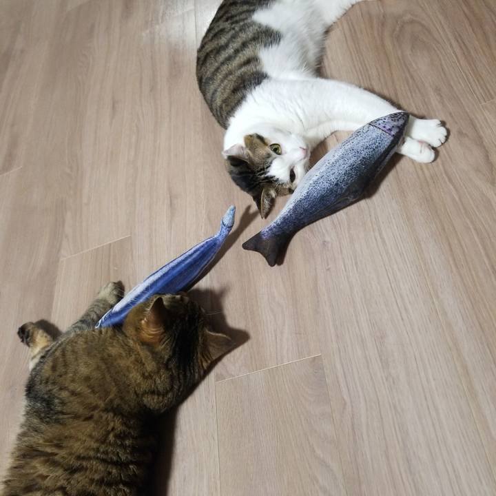 603aa7ad 040c 4fdd 9b76 720bd70468b6 1579032939783