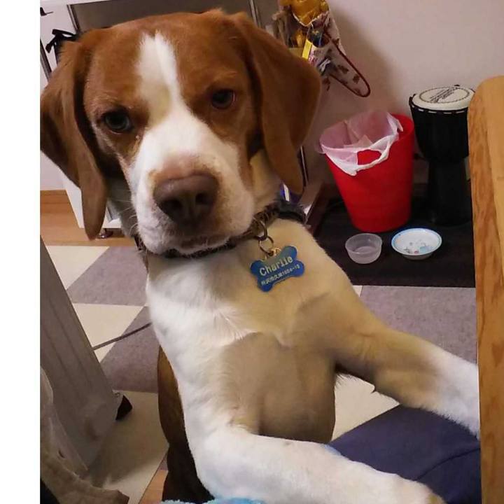 603aad54 0417 42cd 82ba 12b9f6ceaa59 1580823489231