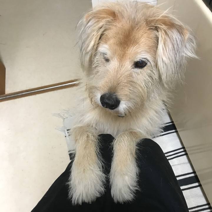 603ac8df 20f3 456a 9bff 49267e2cef8e 1545314848411