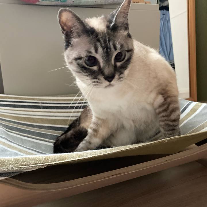 603adfb4 aafa 4bd4 9440 dccee223dd63 1746488945760