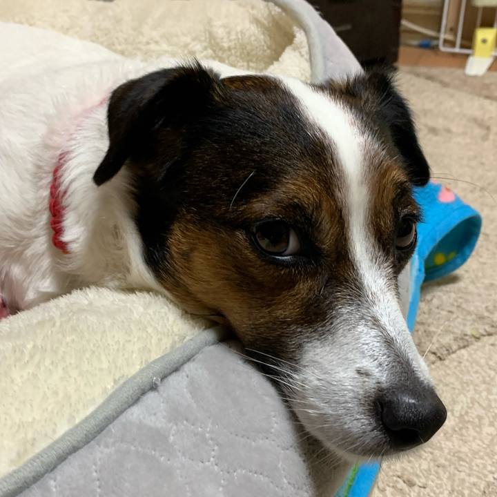 603ae0f1 5caa 4eca a6ae 3d4b5e34d7c5 1606308579270