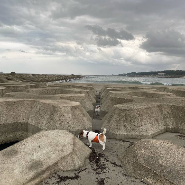 603ae283 a878 449f b178 8afba7e54617 1730766097907