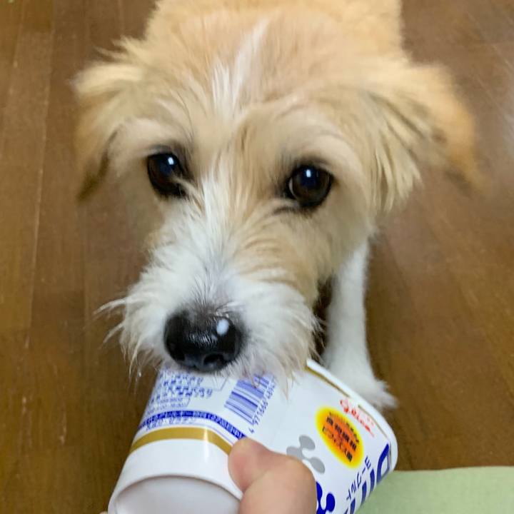 603ae4dc 0666 44f0 89d2 285494cd6d52 1566854717473