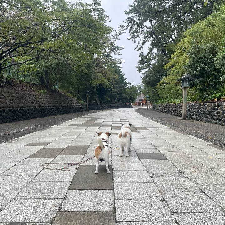 603b270b 9952 44ed ae62 8fd2ceff658b 1695855356953