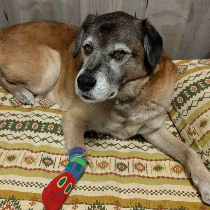 603b2a53 3215 4b33 8032 df45503dfa8b 1550316533435