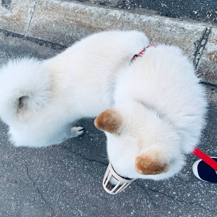 603b2e64 76fe 427f 88c8 3065b9b4f499 1562879287209