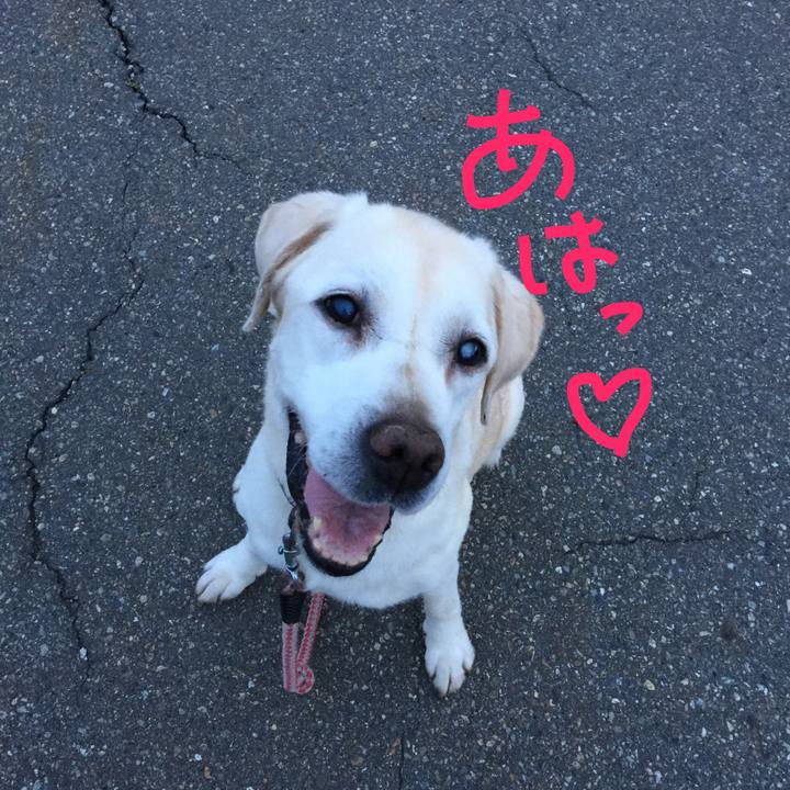 603b42b9 26aa 42ed bcaa 5fe19743df1f 1530185304954