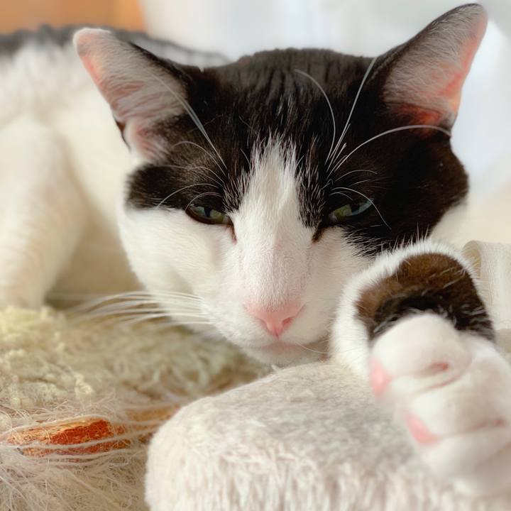 603b652a b968 4018 89e5 cdd168868af0 1559354191974