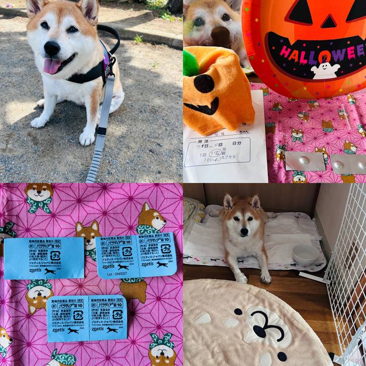 603b6bcc 7b76 4c8c 8434 46c545b7ab4d 1728277067109