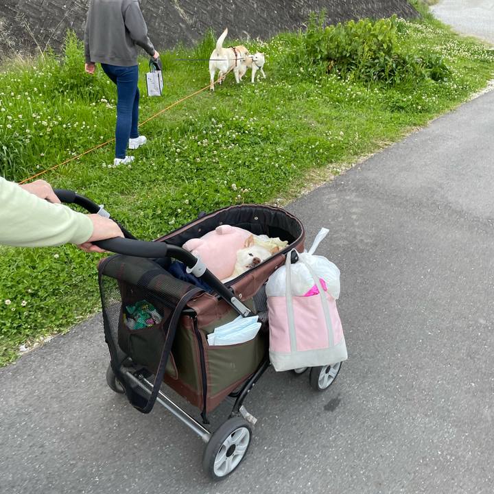 603b944f c85a 4e09 92da c43faf9825f3 1680525116948