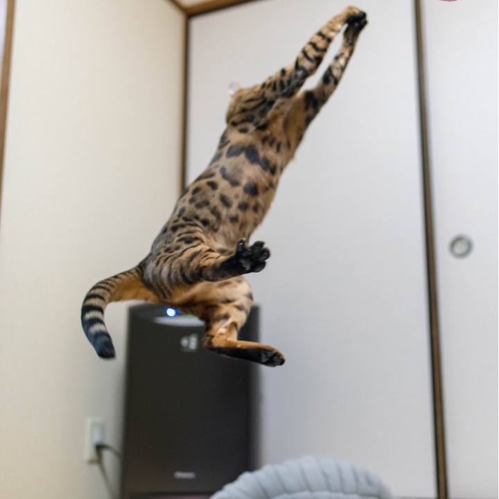 603b97de 75e0 4493 859d 9d63c10093d4 1517668388766