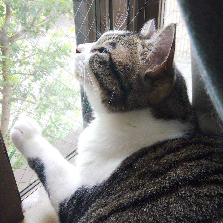 603b9f89 30aa 4988 b0b4 ec1b07abcbbf 1664405252333