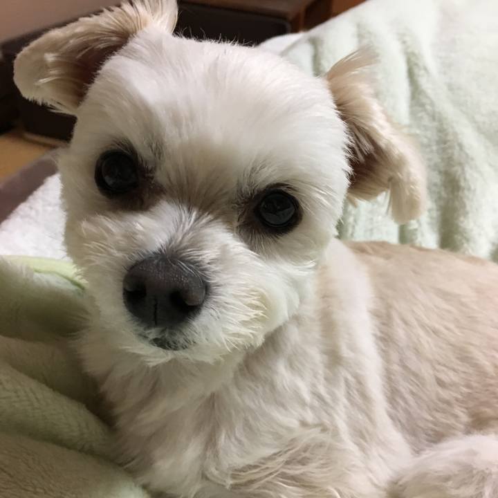 603bb499 d1d0 41c7 805c b52ced85b5ea 1516182477102