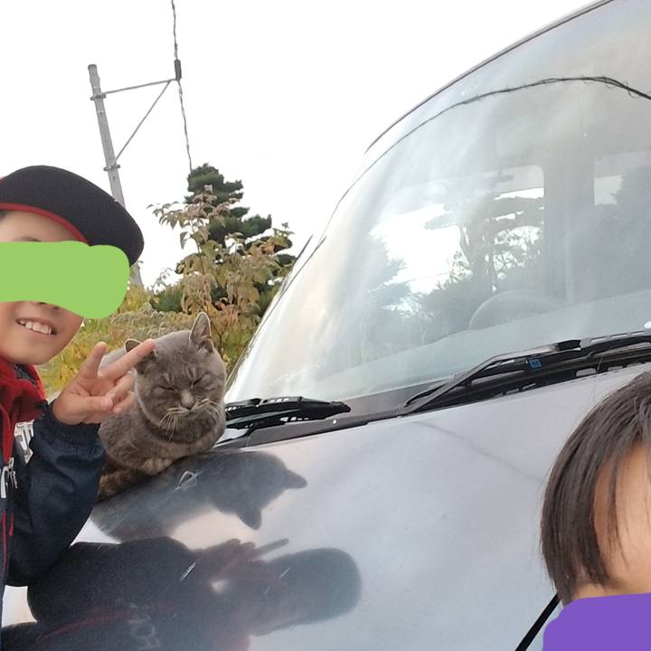 603be969 0503 4592 b797 02cea8b19739 1540217403112