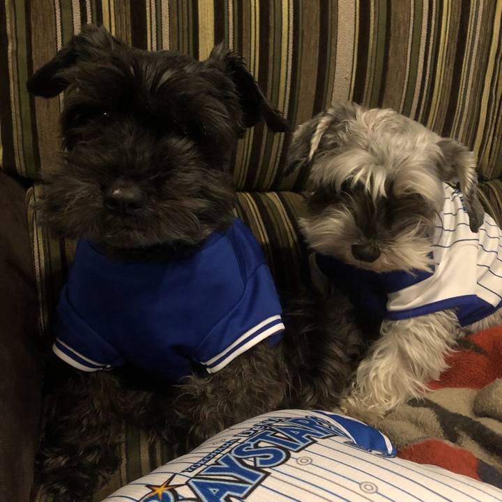 603befa0 29fd 4521 80bf f47f6b8a17f3 1553862471162