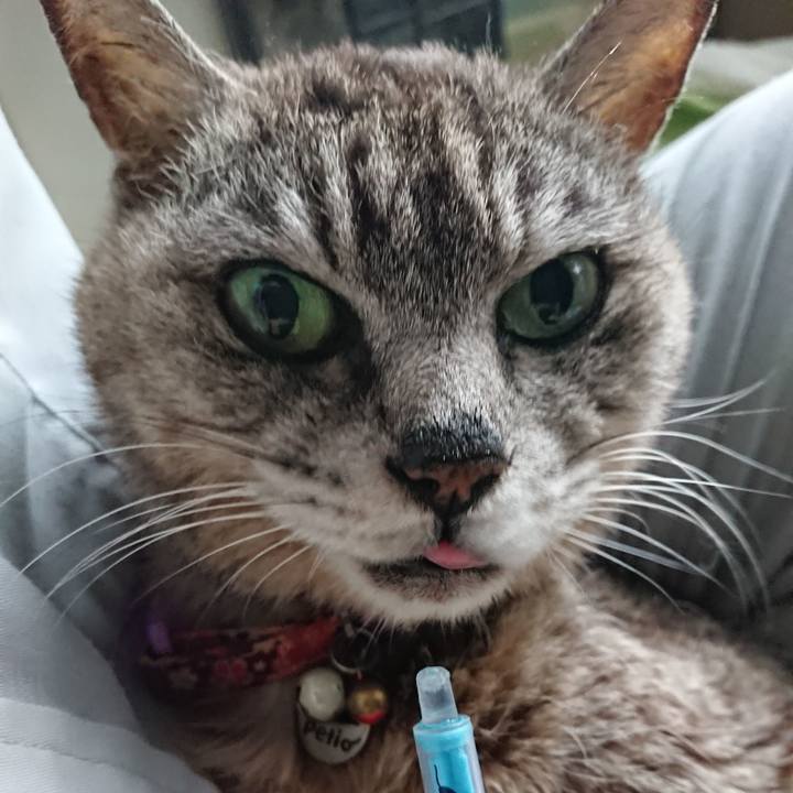 603c06e7 80b4 4ea6 89fd ad2e5e6500d5 1596840189433