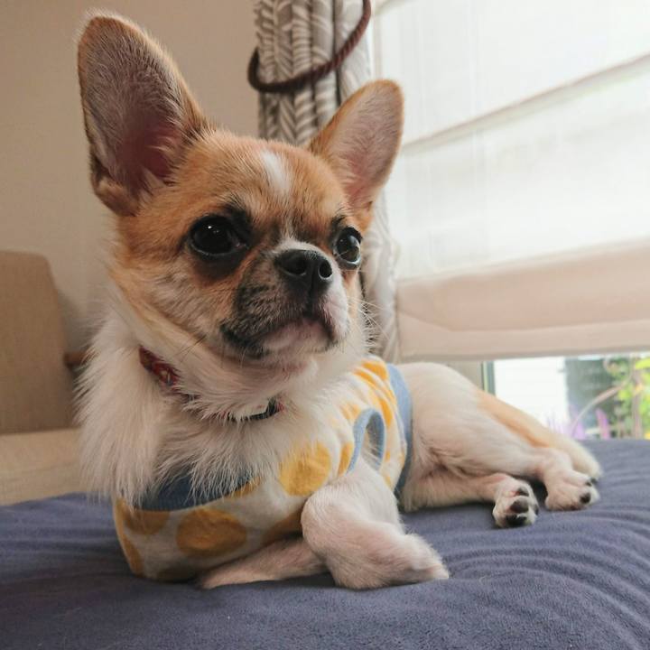 603c0fbc d007 40c1 91ae eff587186eb6 1738917974967