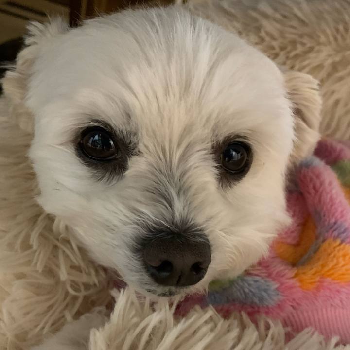 603c27b6 41bc 483c 8322 6885d7e2eeab 1642849079063