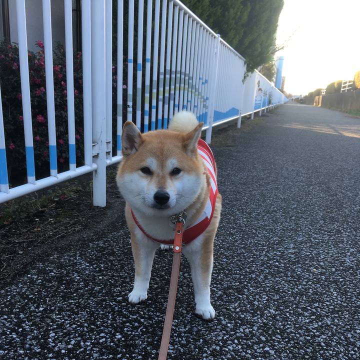 603c9875 02f7 4efc afaa b39fb948e0f2 1547362889582