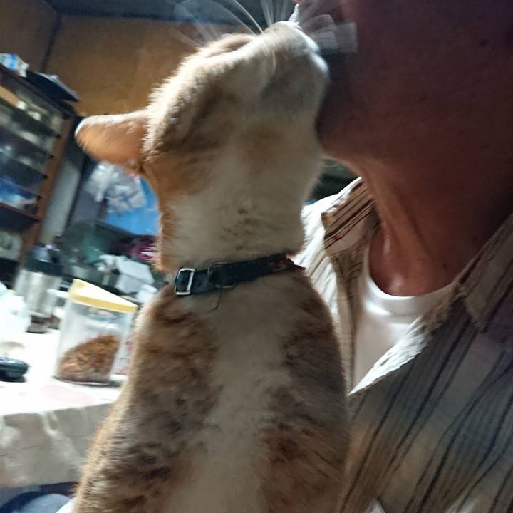 603cbf7f c1c2 4c59 b3f9 2143800392d1 1601066852884