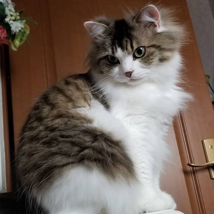 603cc7c2 8905 463a 93b9 665629085448 1561758908450