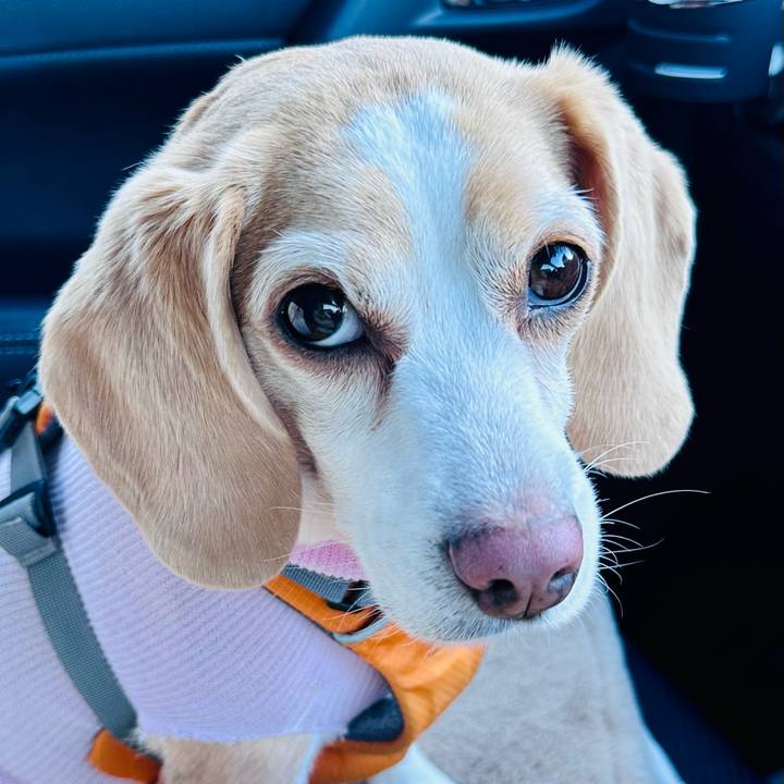 603cc872 7442 40de 86ad e66f8f605ac7 1706770481966