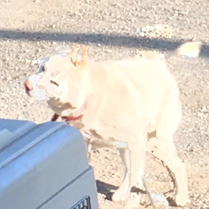 603d4302 df8d 4e76 91a9 4a1e17fa8965 1530431254870