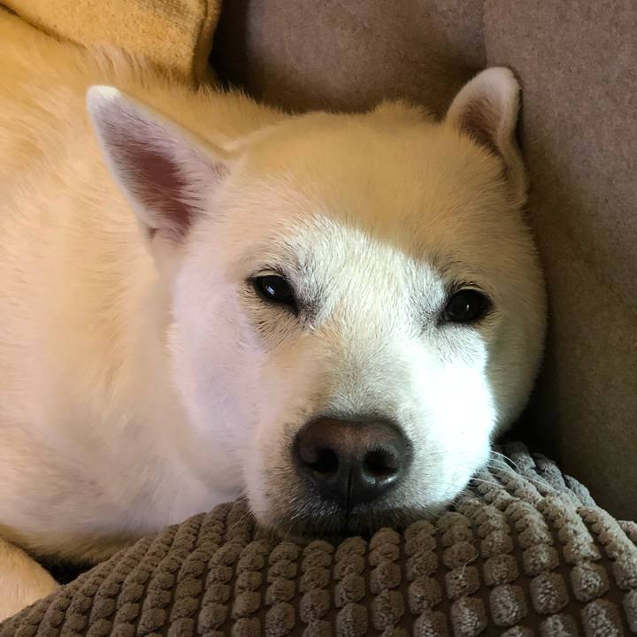 603d64d0 23e6 4f58 bbdf 07faa2598334 1549720448010