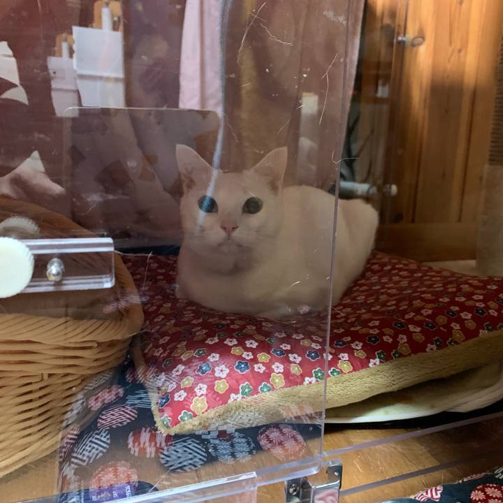 603dba8f c3e6 4de0 a7c5 74d186222a30 1579089842184