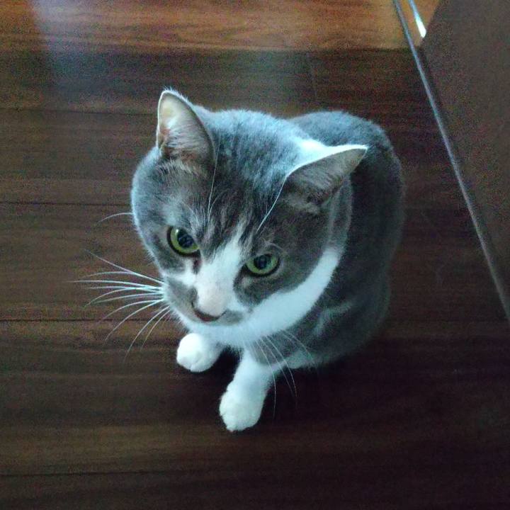 603dc5ce 6955 4089 a7ea 1242bc0fd8b2 1646805817757