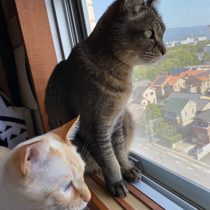 603dd424 b186 4b7a 826d c7fffef2559a 1651738689817