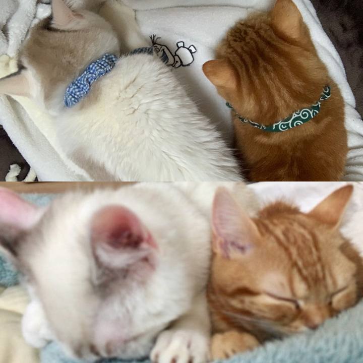 603dd981 72ec 40bc b84f cb389ff7a301 1578392574405