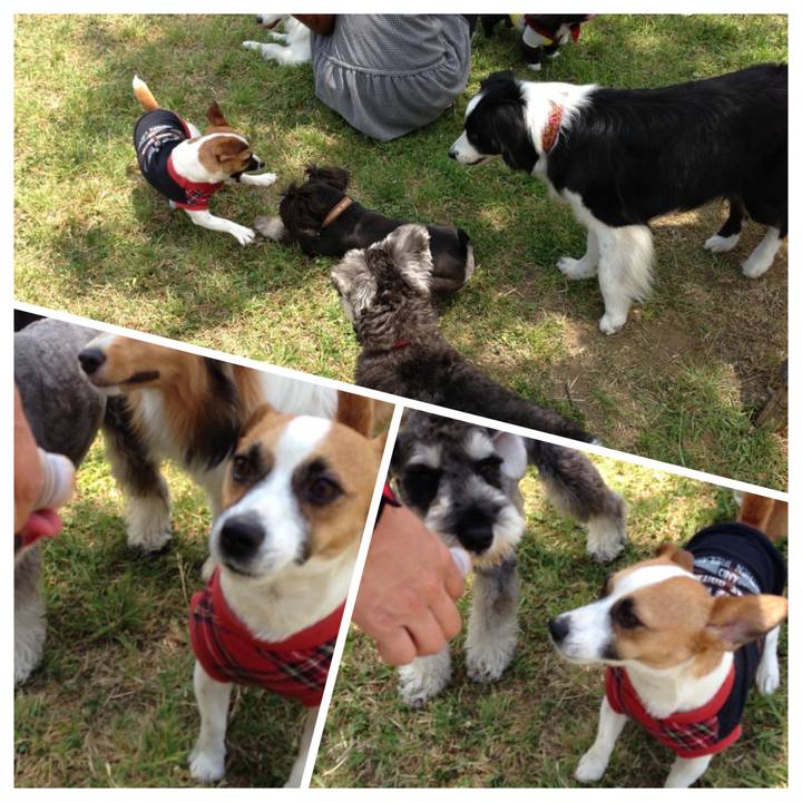 603ddede 07fd 4147 975e 601fde8cc1a5 1654647816636