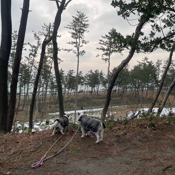 603e13b1 f6ef 4ef6 b503 d097f2a0f120 1770333478321