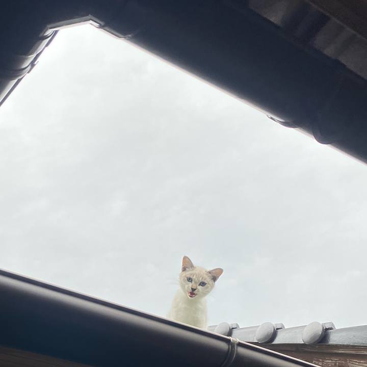 603e2e0a fa36 4e17 96f9 22cab8674da1 1665316362870