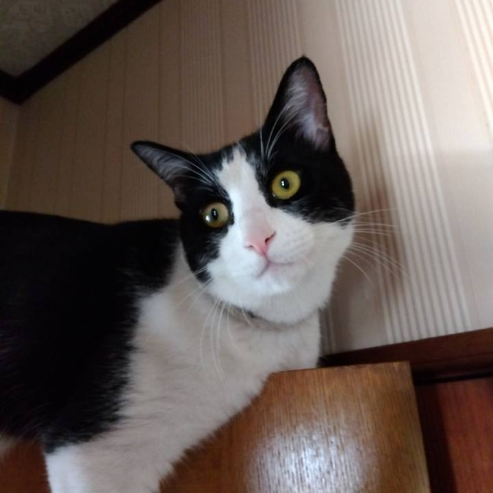 603e7d7c 9302 47b0 abee fabc70afd5fa 1657153164273