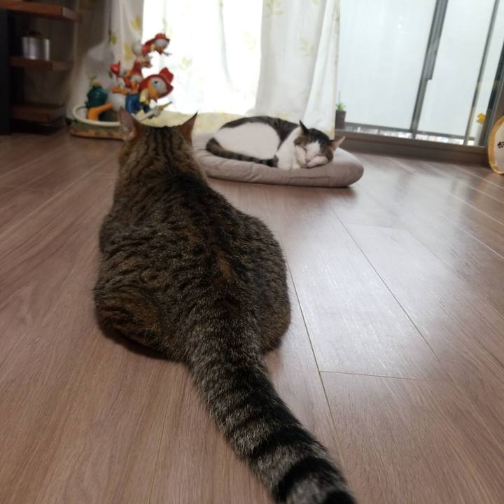 603e7d89 2b43 4ae6 b24b 68ae39d75746 1590959928923