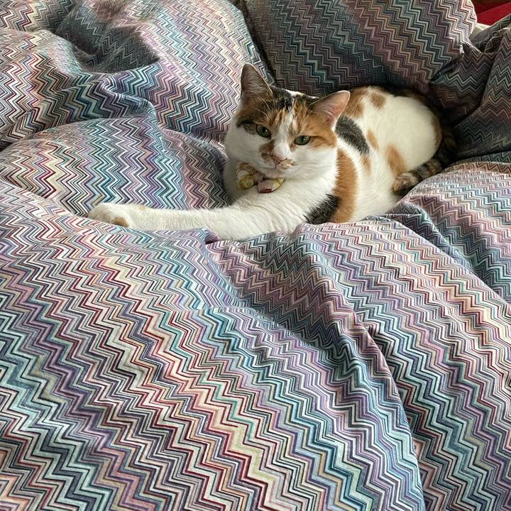 603ea8a1 2761 46bf 9475 73a0eec2e025 1640831608598