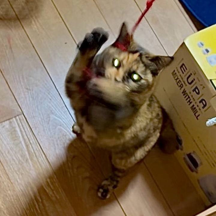 603ec44a d927 4b50 a618 d3a1b4069d43 1764706497105