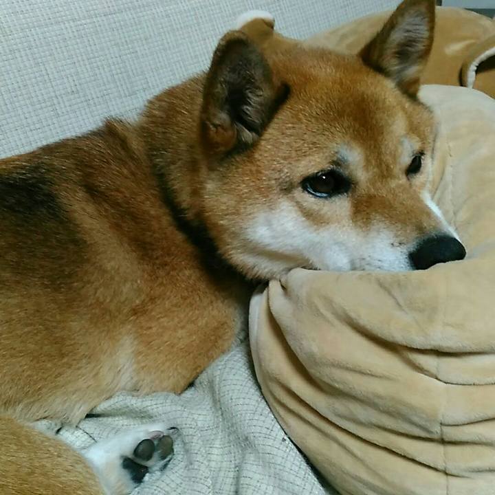 603ed280 f63c 4e8e a5d5 bbfc3c65f258 1565965192086