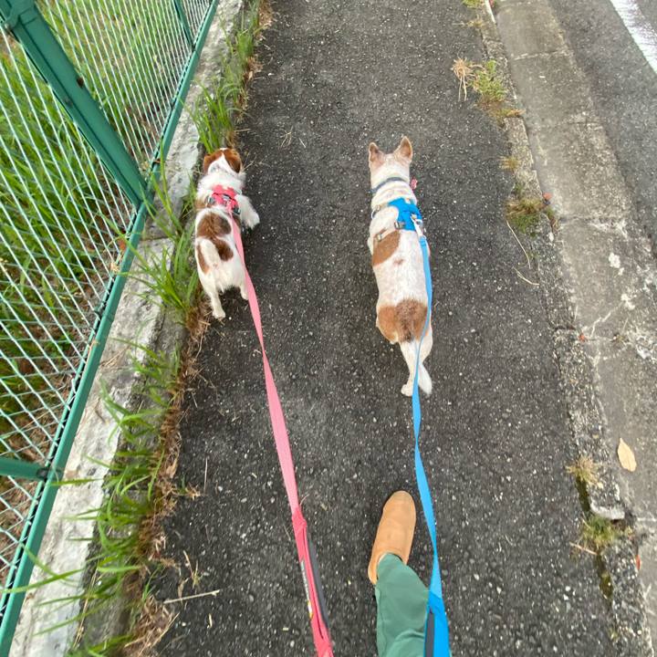 603f0c50 118a 4155 8f44 7f4f6500875b 1695678312523